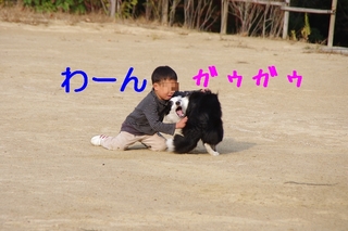 IMGP9192.jpg