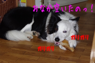 IMGP9608.jpg