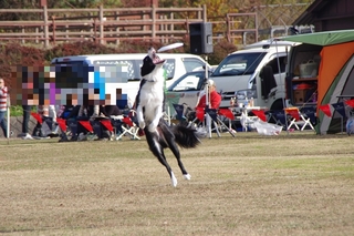 IMGP9689.jpg