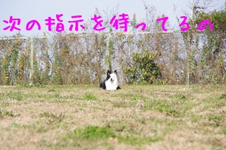 IMGP9862.jpg