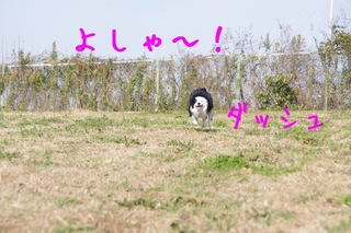 IMGP9864.jpg