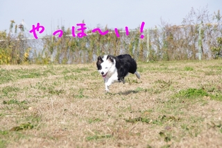 IMGP9866.jpg