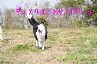 IMGP9875.jpg