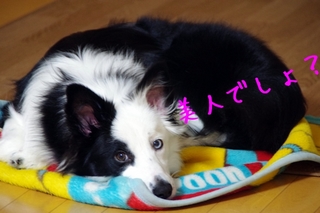 IMGP9956.jpg