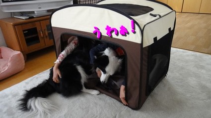 NewHome03.jpg
