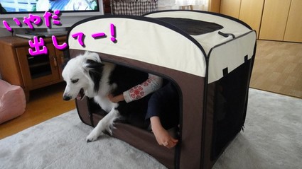 NewHome04.jpg