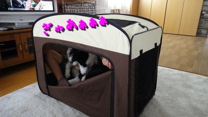 NewHome05.jpg