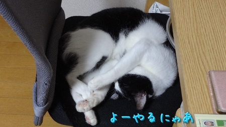 aki04.jpg