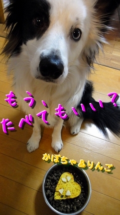 asobon1.jpg