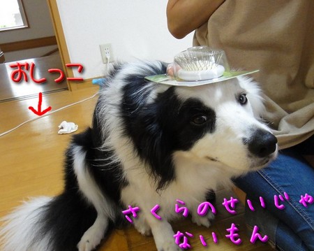 atama03.jpg