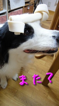 atama04.jpg