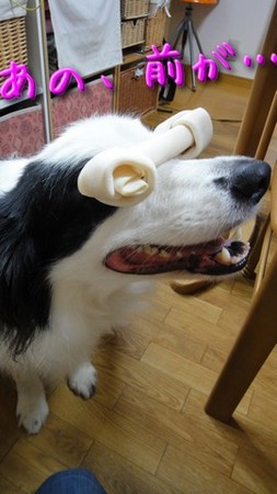 atama05.jpg
