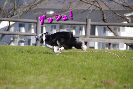 ball06.jpg