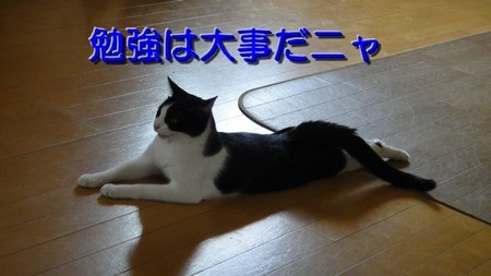 benkyo01.jpg