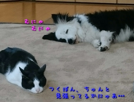 benkyo02.jpg