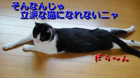 benkyo03.jpg