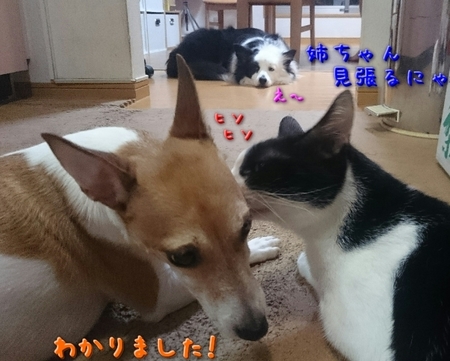 benkyo04.jpg