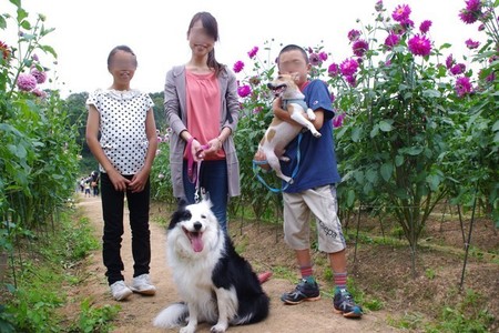 bihoku09.jpg