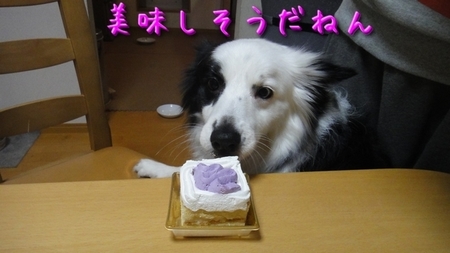 birthday05.jpg
