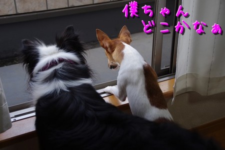 bokuchan02.jpg