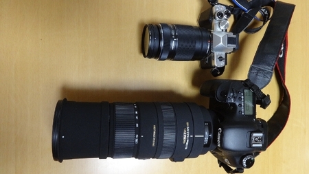 canon04.jpg