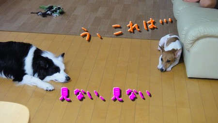 cider03.jpg