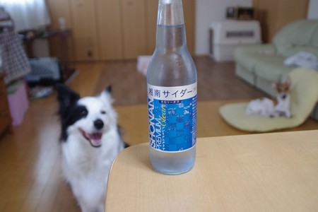 cider04.jpg