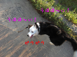 cimg0887.jpg