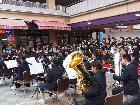 concert01.jpg