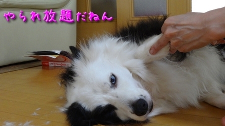 cut02.jpg