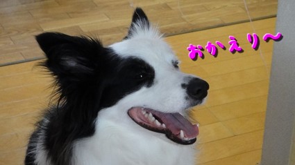 dare01.jpg