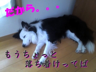 dekai7.jpg