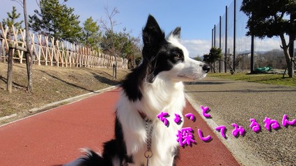 denen04.jpg