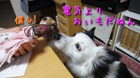 denki01.jpg