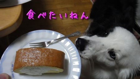 dojima04.jpg