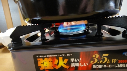 domestar04.jpg