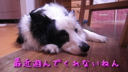 dry02.jpg