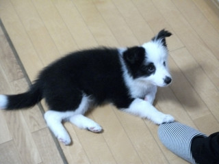 dscf8010.jpg