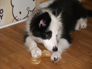 dscf8079.jpg