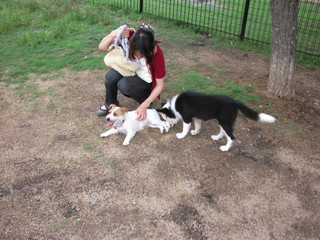dscf8114.jpg
