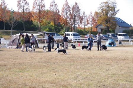 fukkatu01.jpg