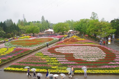 fukusima02.jpg