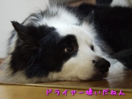 furo01.jpg