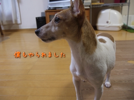 furo02.jpg