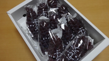 furu01.jpg