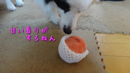 furu03.jpg