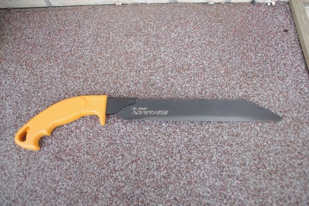 gomi01.jpg