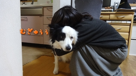 gyu03.jpg