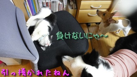 hage06.jpg