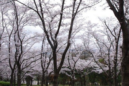 harima05.jpg